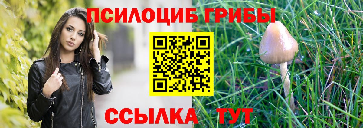 Псилоцибиновые грибы мухоморы Подольск