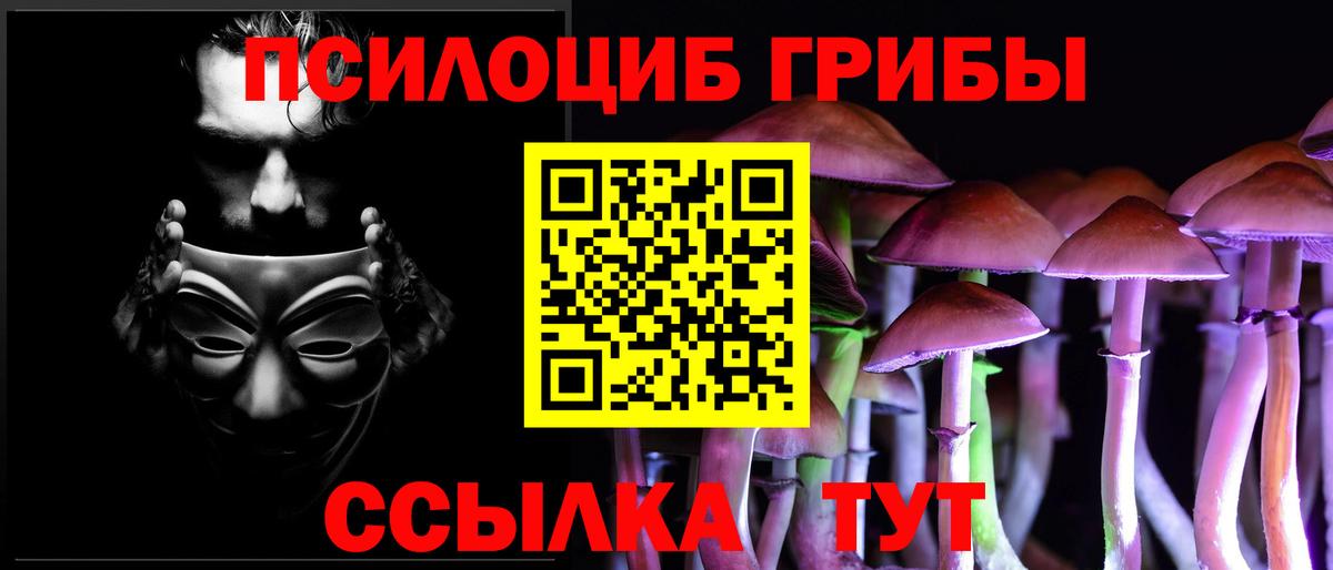 Подольск  Галлюциногенные грибы ЛСД  Вход с VPN  Псилоцибиновые грибы прущие грибы 
